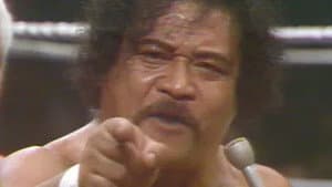 All Star Wrestling - November 11, 1978