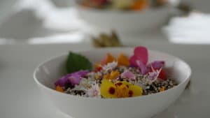 A Top Chef Dinner in Door County with Kat Turner