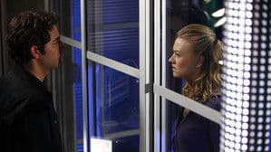 Chuck Versus the American Hero