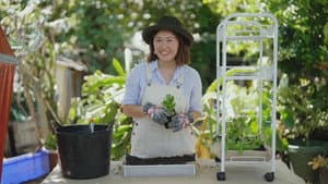 Episode 14 Eucalypt; Herbs; Restore: Mosaic: Winter: Bee