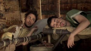Les Tuteurs II