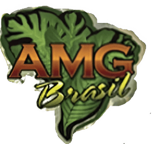 AMG Brasil