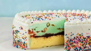 Ice Cream Cake