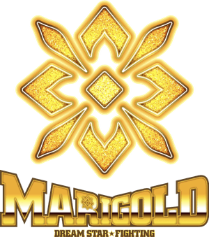 Dream Star★Fighting Marigold