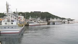 Life on the Squid Hunt