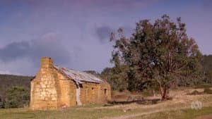 Hunting Ground, Tas