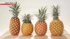 Pineapple