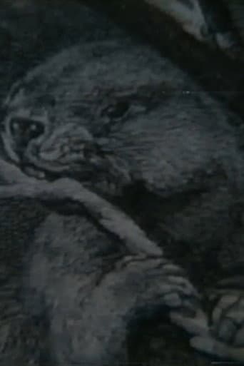 Beaver Report