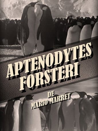 Aptenodytes Forsteri