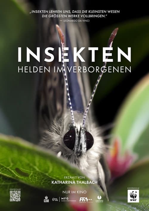 Insects – Hidden Heroes