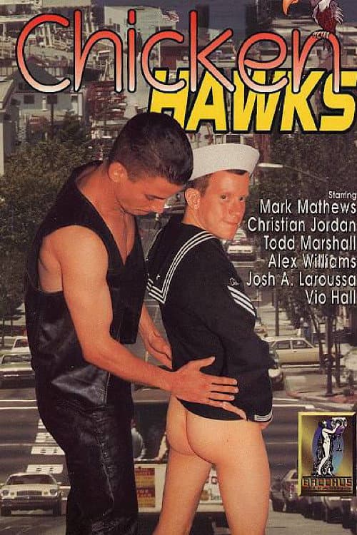 Chicken Hawks