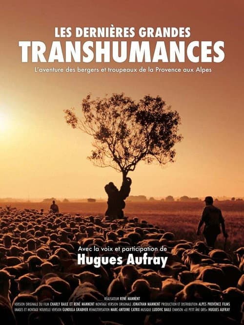 Les dernières grandes transhumances