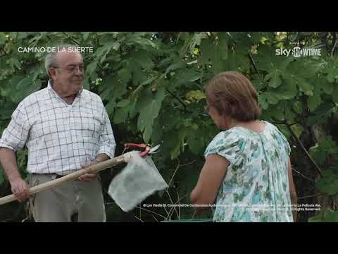 Camino de la suerte | Tráiler Oficial | SkyShowtime España