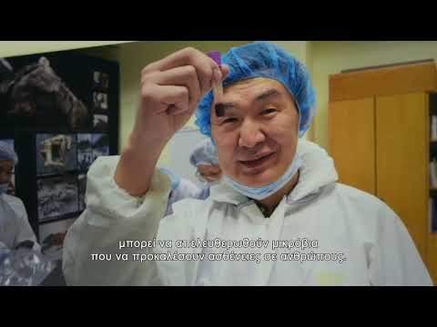 MANKIND'S FOLLY - Official Trailer EL