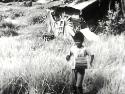 Short Film