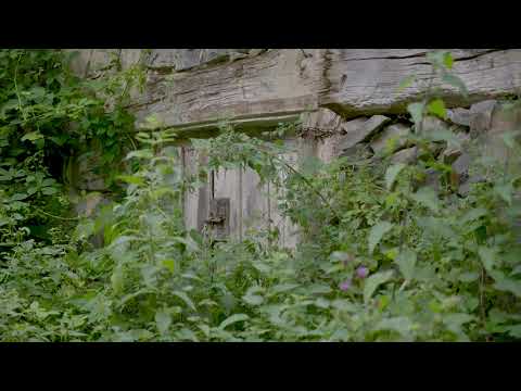 Gniele - Trailer