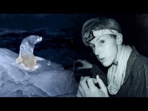 Vampire Bats feeding on Sea Lions | The Dark: Nature's Nighttime World | BBC Earth
