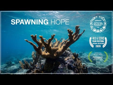 Spawning Hope