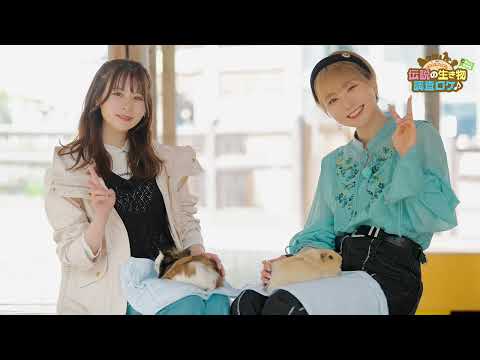 Blu-ray「ささもり・みゆかおり「~伝説の生き物~調査ロケ♪ in 茶臼山動物園」」ダイジェスト映像