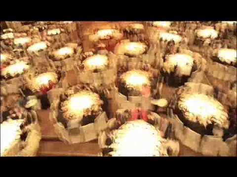 Quattro HK 1, trailers 2010, red earth (Clara Law), BrandHK