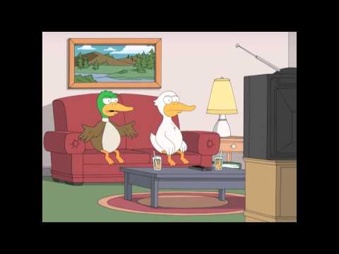 Two ducks watch 'Meet the Parents' -- HIGH QUALITY