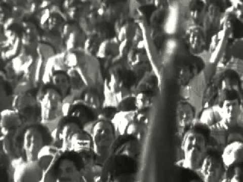 Bitter sugar trailer