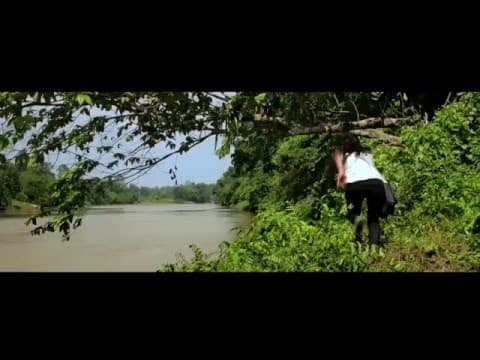 BORHXARANYA (THE RAINFOREST) | TRAILER