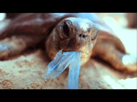 1. Bande Annonce "Océan de plastique"