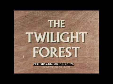 The Twilight Forest