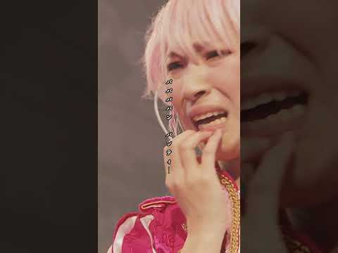 『パンティーナイト♂』後楽園ホール(2019) #ライブ #ダンソン #バンド #ジュリアナの祟り