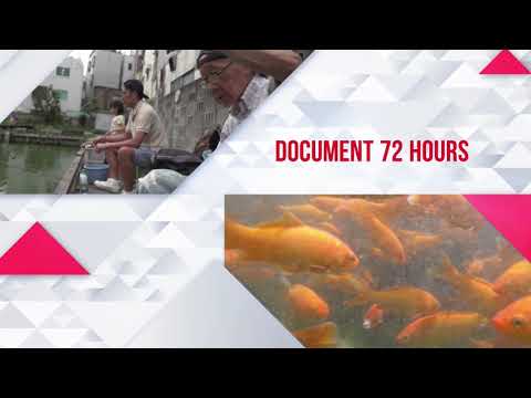 Document 72 Hours