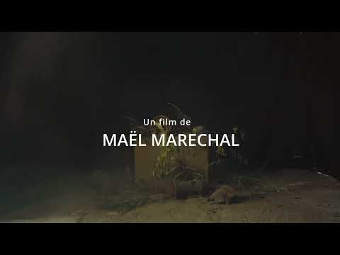 Succession - Teaser