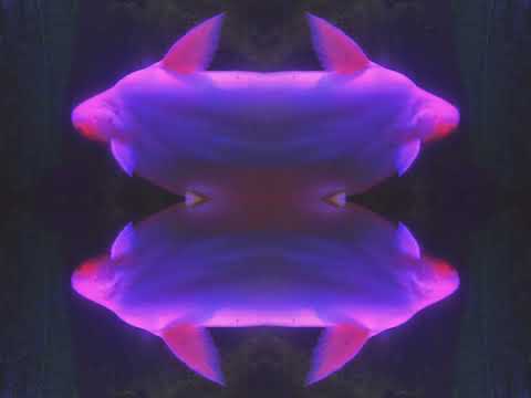 Silent Breaths Beneath Electric Glow