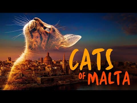 Official Teaser Trailer