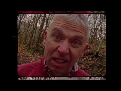 Shit! (Straight 8 2025 Entry)