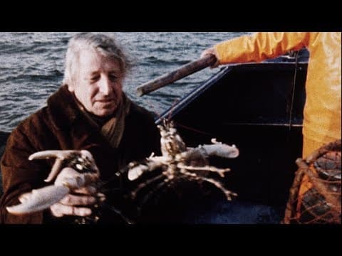 Costa Del Coal (1971) (Excerpt) | Britain on Film