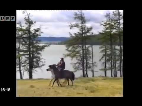 Хүрэн толгойн сүүдэр ( Шинэ үсгийн багш уск)