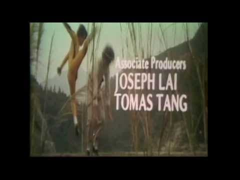 The Blazing Ninja Intro (1973)