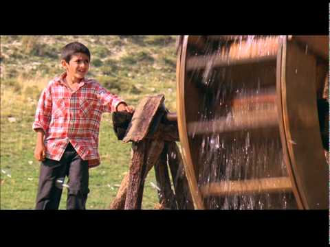 BUTA TRAILER 1