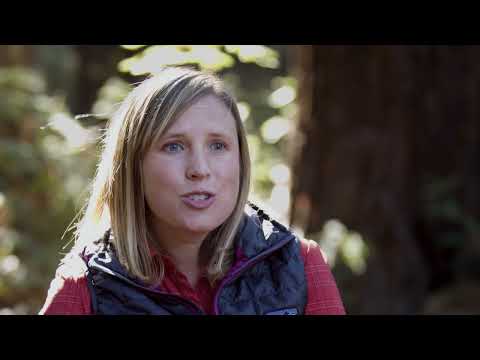 2024 SBIFF Trailer - Giants Rising