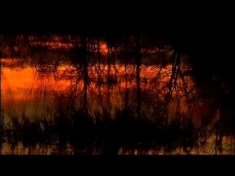 The Creek Runs Red