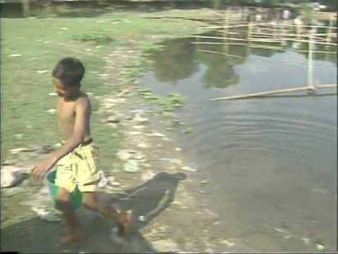 A Kind of Childhood