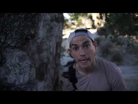 HORNET TRAILER