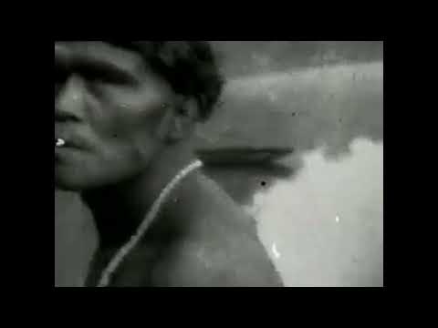 Trailer Os Mortos Resistirão Para Sempre H 264