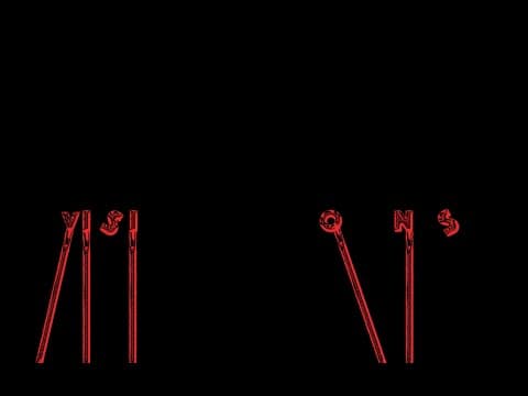 Visions- Directed by: Shiven Patel (Film Festival Color and Light Submission)