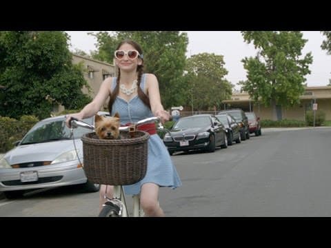 Gone Doggy Gone trailer