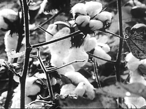 Blues Maker (1969)