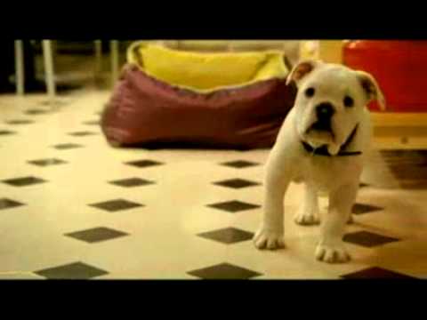Tresor 2009 Trailer.flv