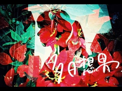 台湾日本合作短編映画『多日想果』(タピオカ)