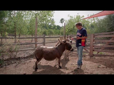 Où en êtes-vous, Richard Linklater ? | Cinéma | Centre Pompidou